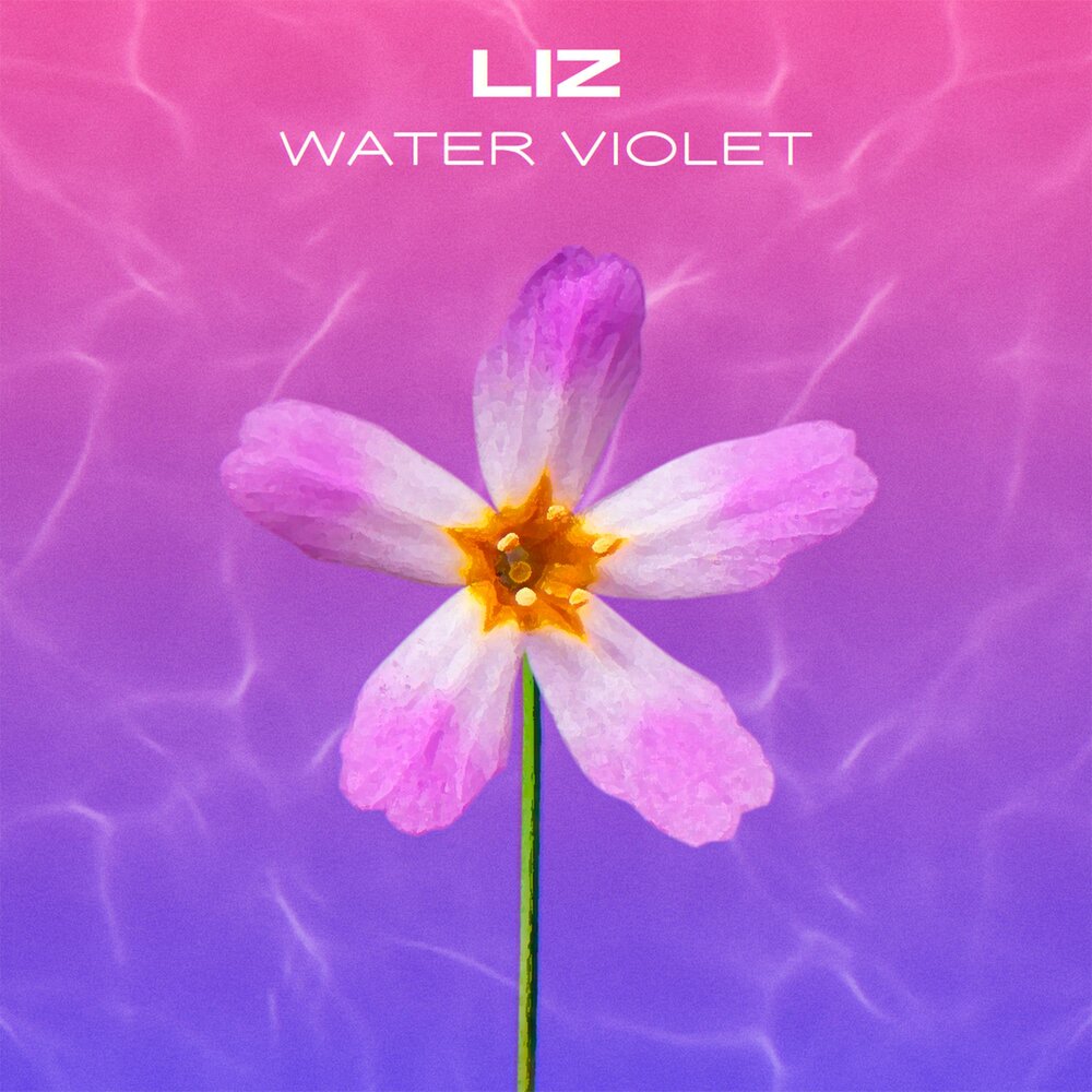 Water Violet Liz слушать онлайн на Яндекс Музыке.