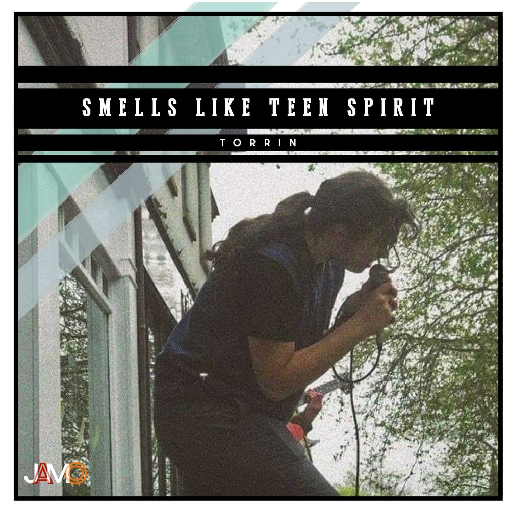 Smells like spirit слушать. Smells like teen Spirit альбом.