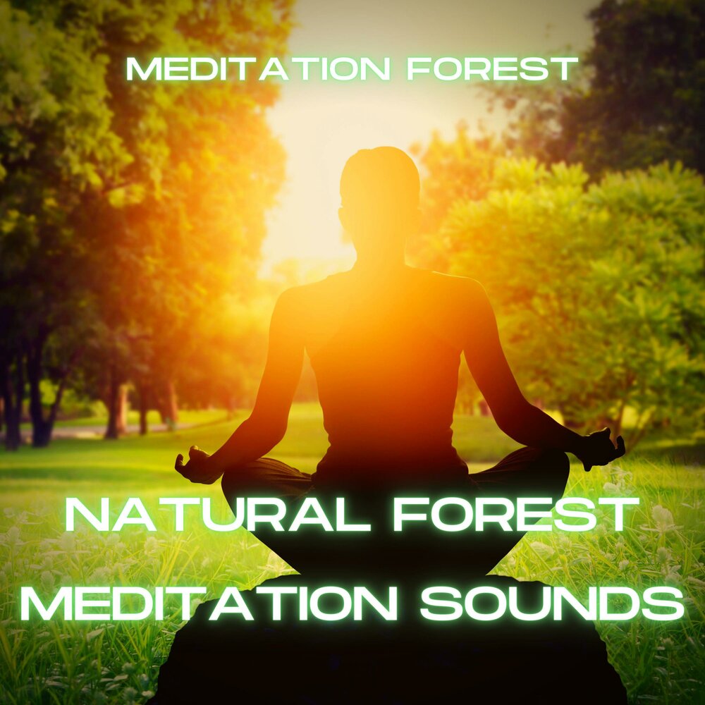 Meditation sounds. Беседка в лесу для медитации. Медитация в лесу группа. TCO Meditation in a Forest.