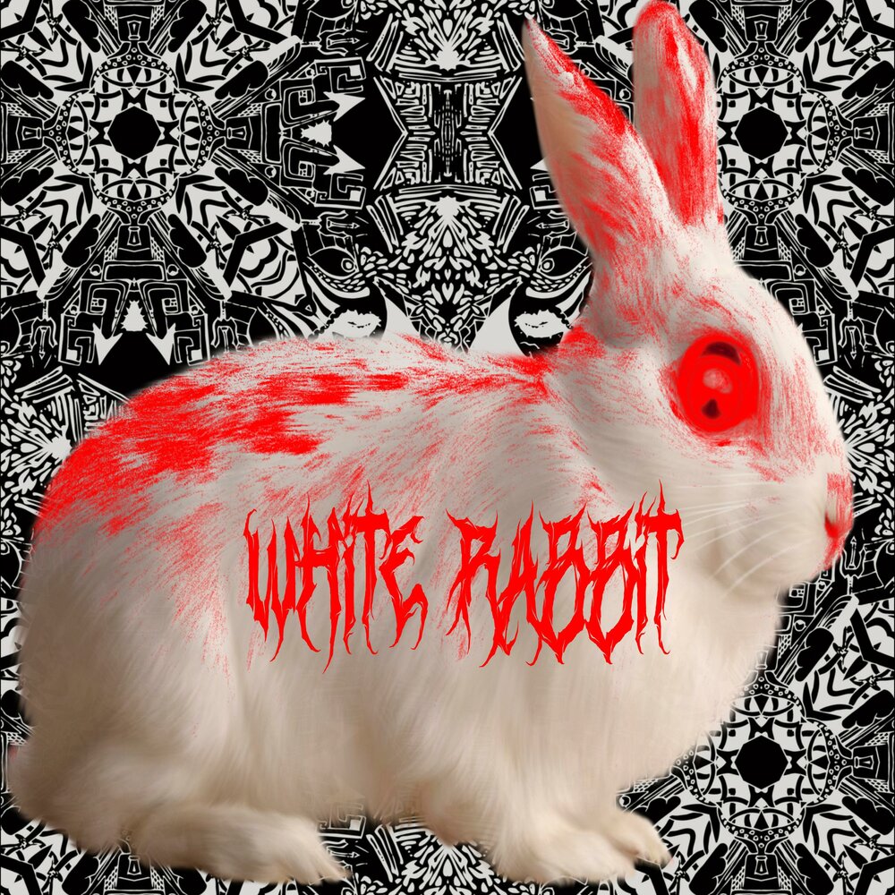 Песня рэббит. Клуб ангельского кролика Ной. Аmorfrodite - White Rabbit песня.