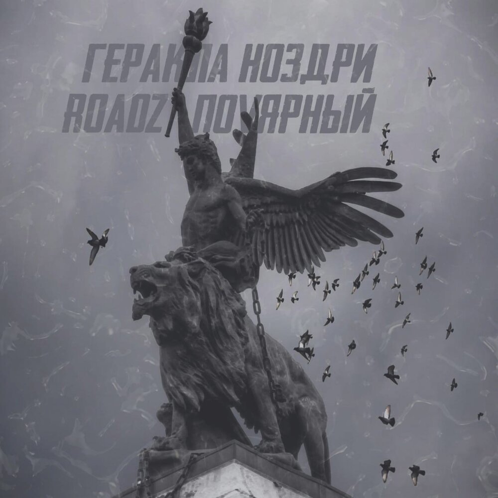 track-cover