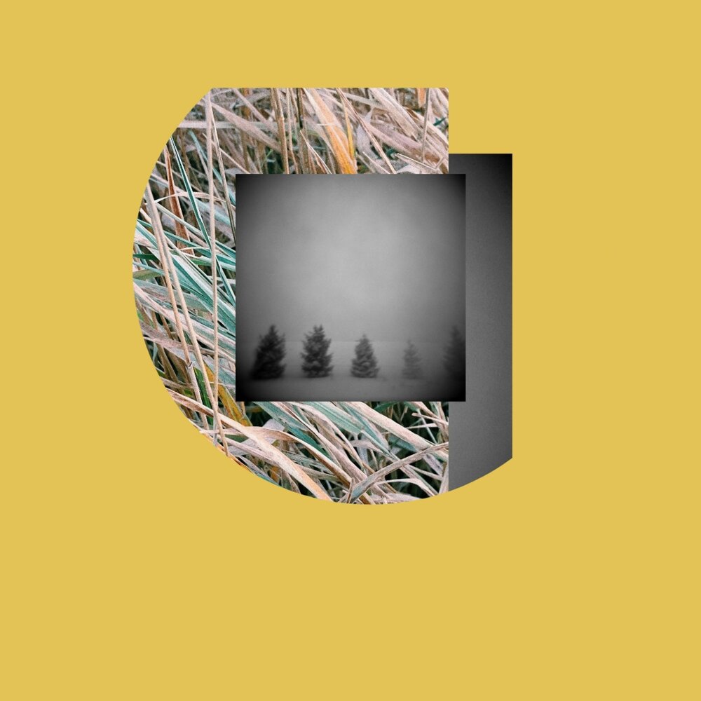 YandexMusic profile picture