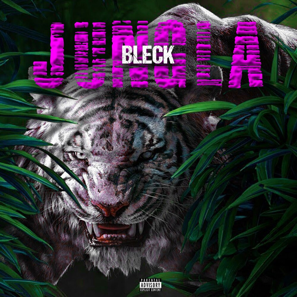 чёрный фон для фотошопа. Black zander. Bleck. черный фон. Temptation album.