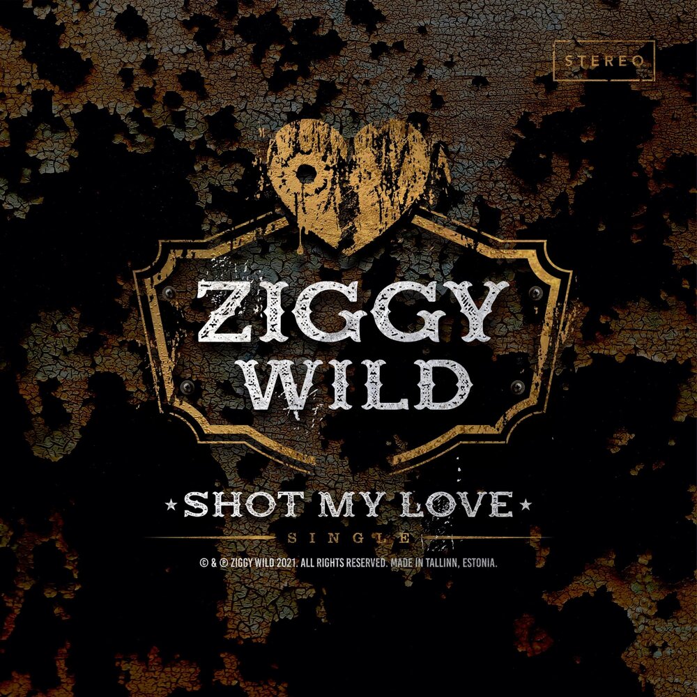 Wild слушать. Ziggy Wild.