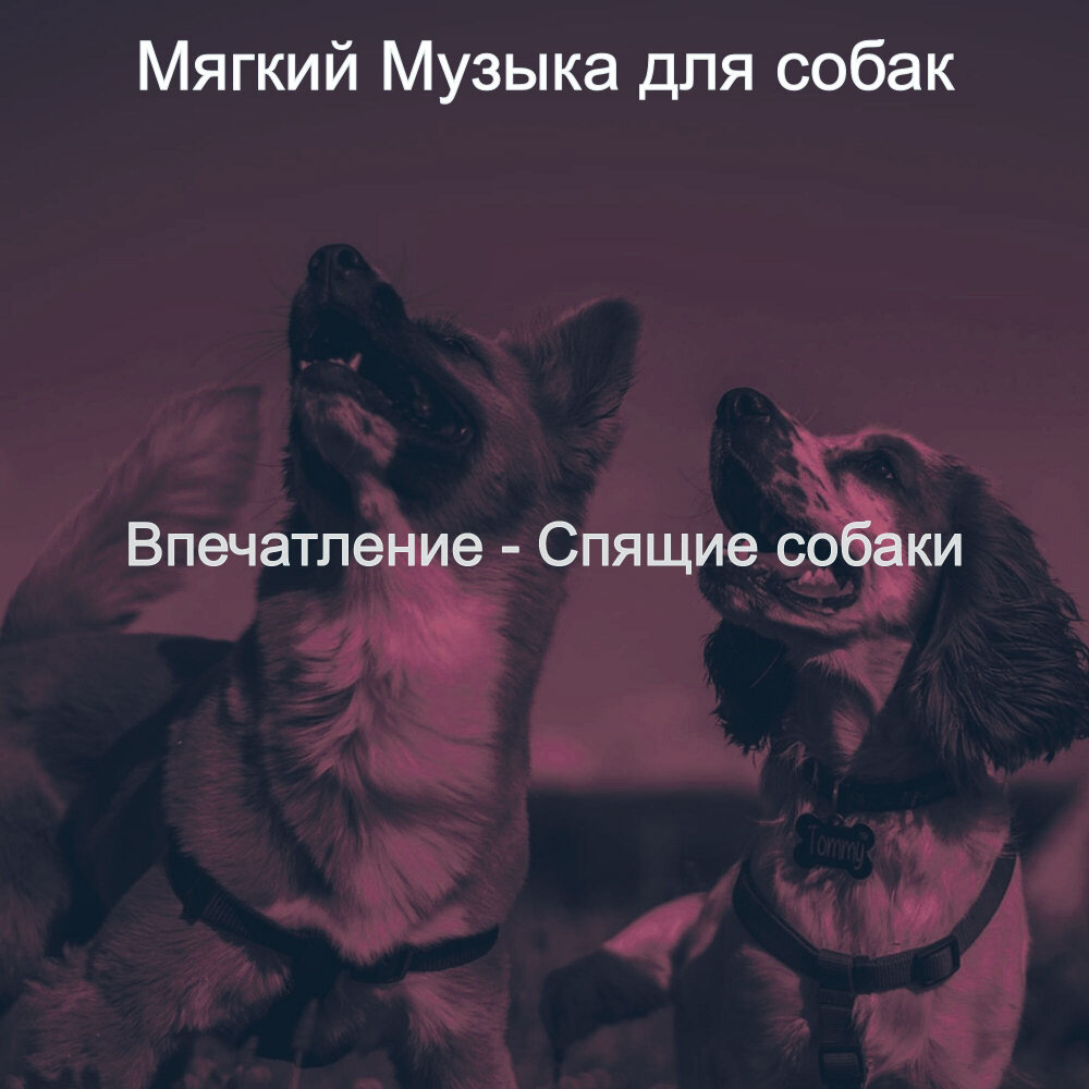 Любимую собачку песня. Песня про собаку. Веселая музыка про собак. Весело щенки песня. Собачья песня.