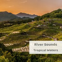 River Sounds