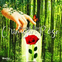 artist-cover