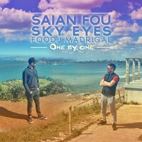 Saïan Fou