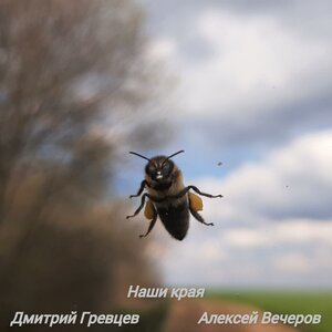 Наши края