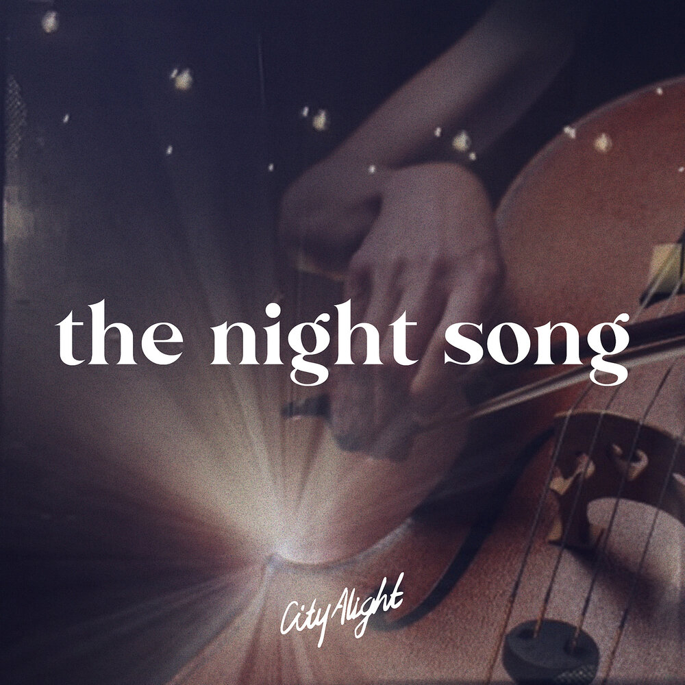 This is night song. Into the night песня. Lyrics of the night. You and the night and the music оригинал. "on a night like this".