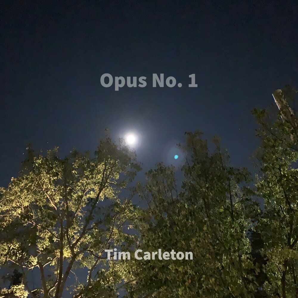 Opus no 1 tim carleton. Opus no 1 tim carleton