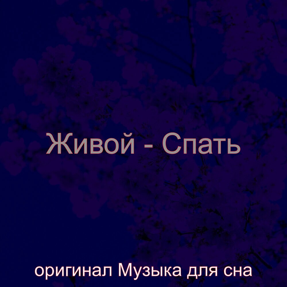 Я не сплю я живой текст. Звуки для сна слушать и засыпать. Музыка для сна фотоальбом.