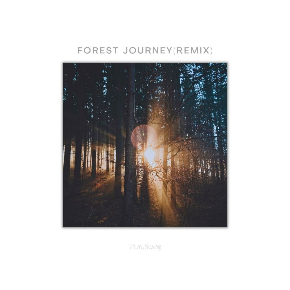 Forest journey