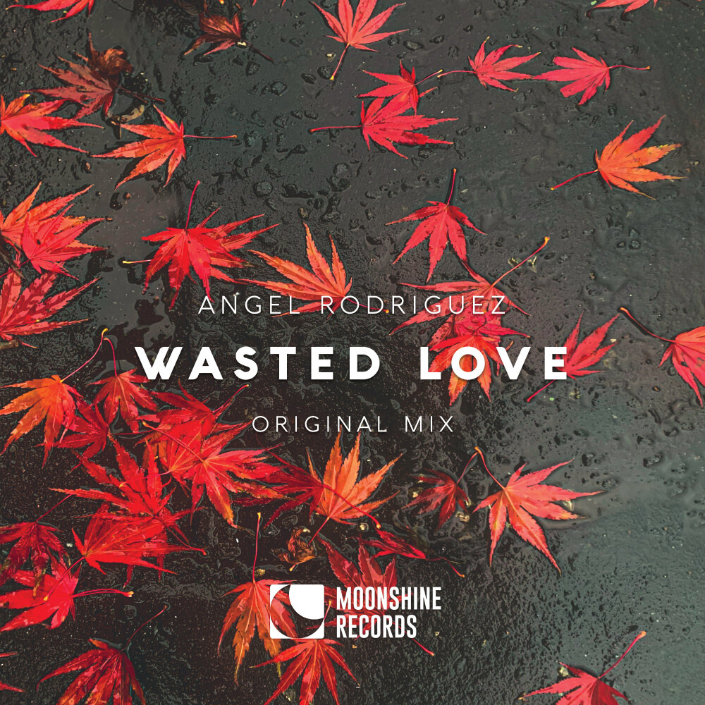 Wasted love перевод