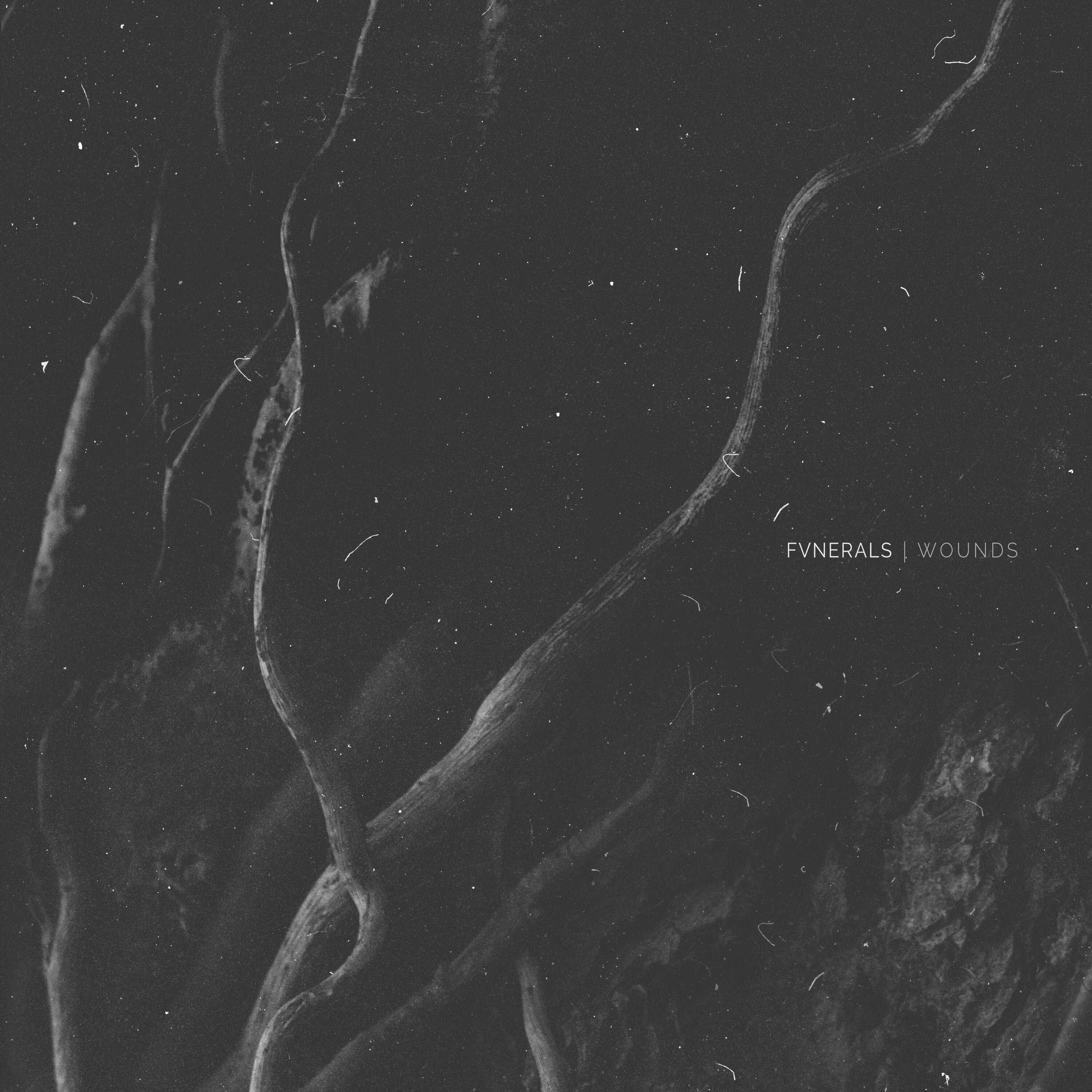 Fvnerals
