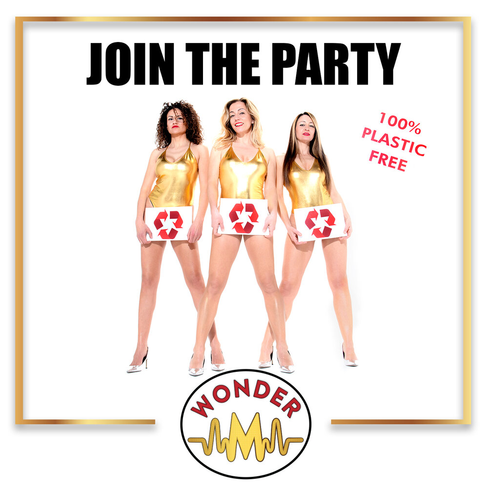 Wonder party