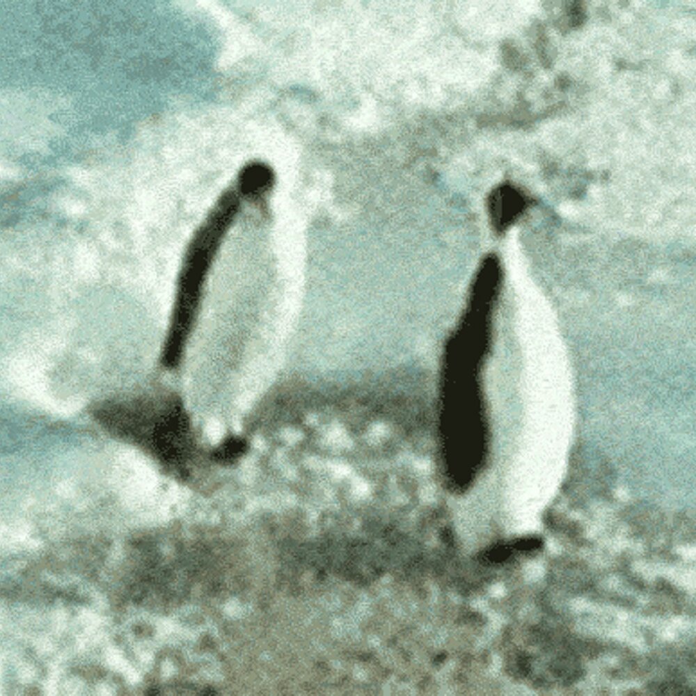 Пингвин грустный одинокий. Пингвин поскользнулся. Пингвин упал гиф. Пингвин идет и падает. Пингвины прикольные гиф.