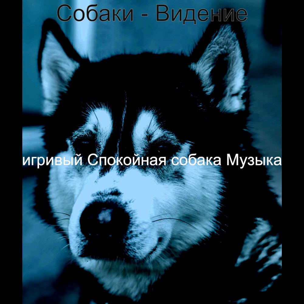 Песни йоу собаки. Собачья песня. Щенки песни. Песня она собака. Собака музыка.