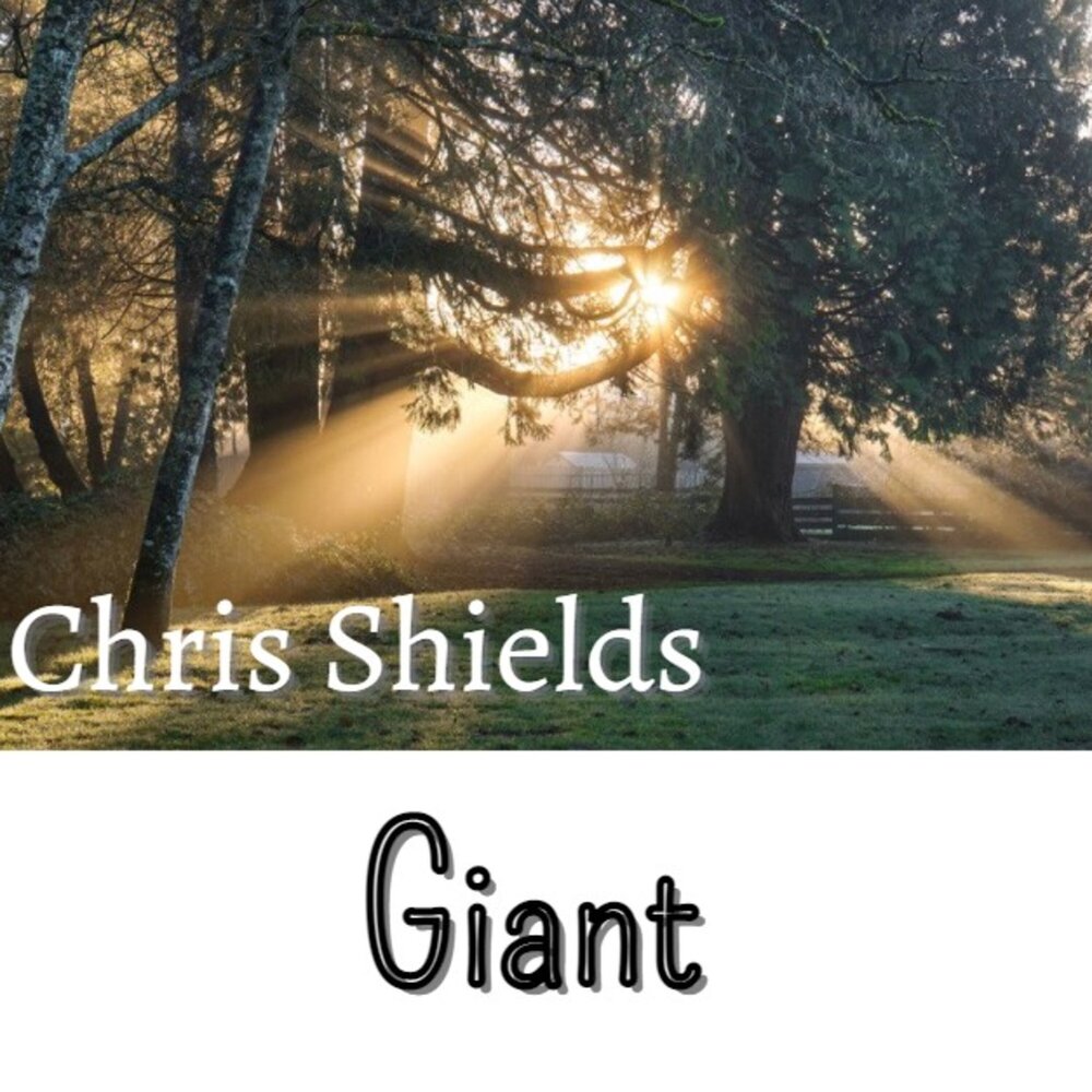 Giant Chris. Christine Shields. Альбом shields