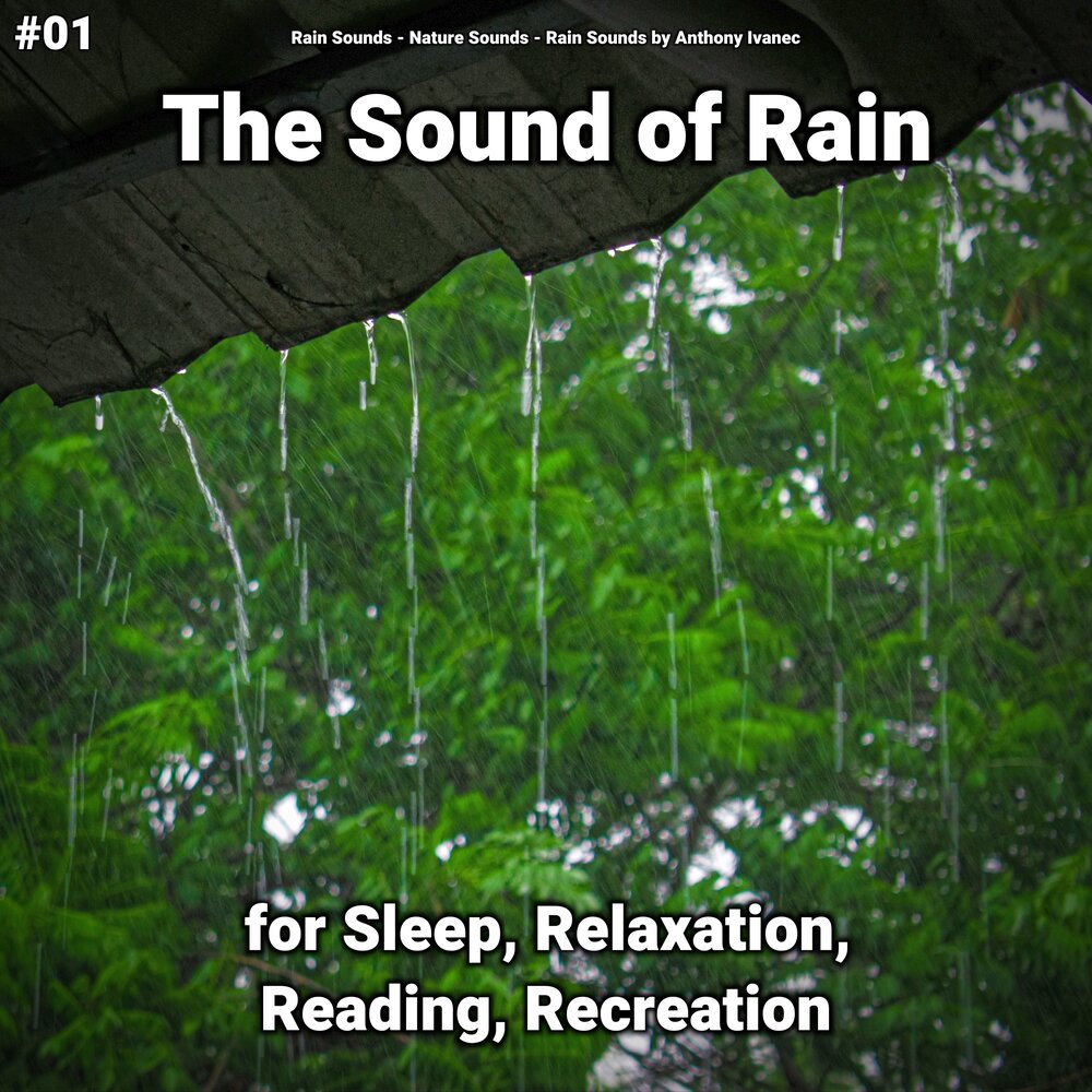 Слушать звук природы дождь. Слушать дождь.