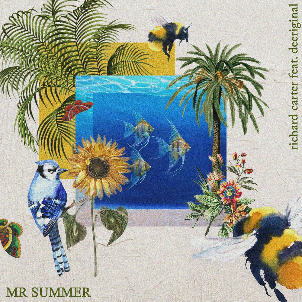 Mr summer. Mister Summer.