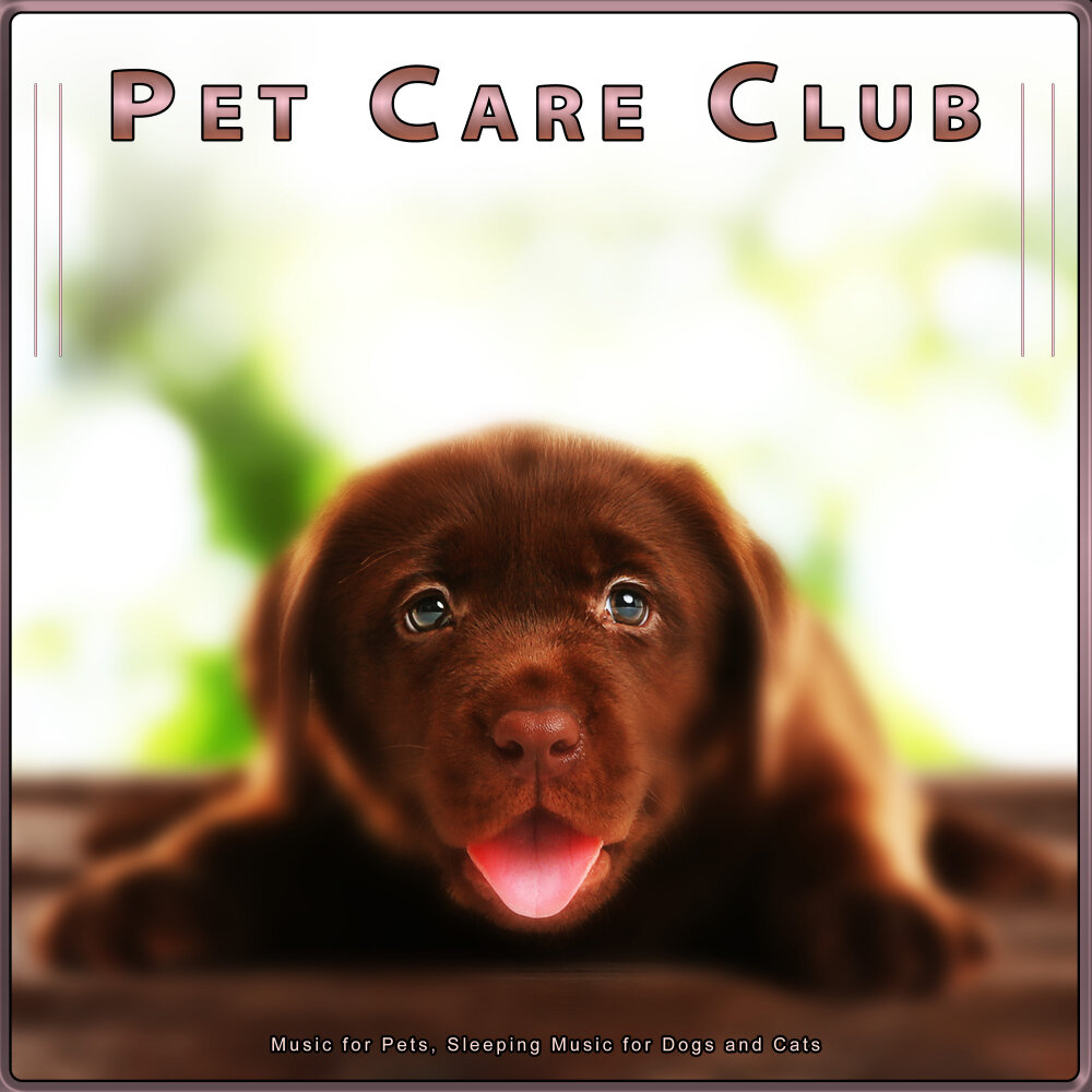Мину Питс. Bhos animal Care Club. Pets музыка
