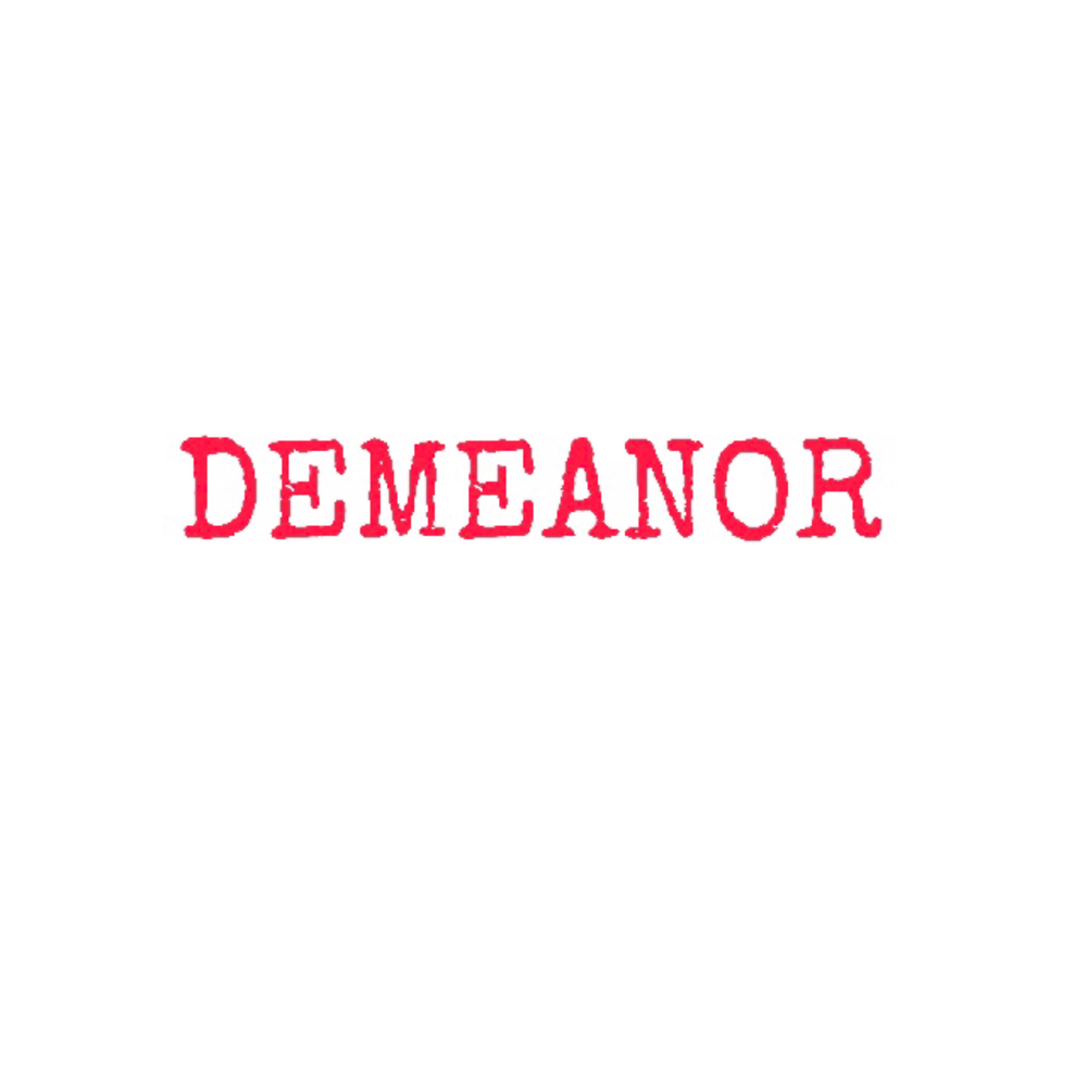 Demeanor перевод