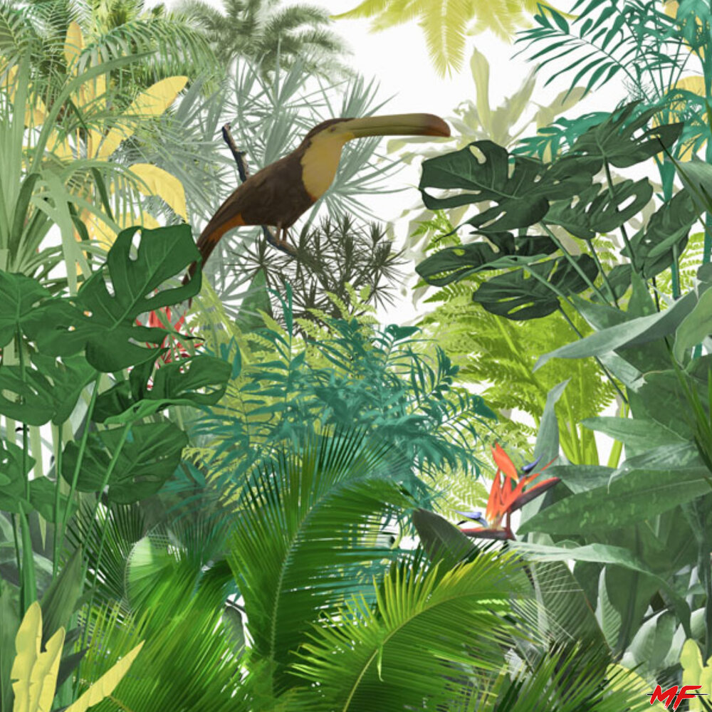 тропическая природа. международный день тропиков. жаркие тропики.