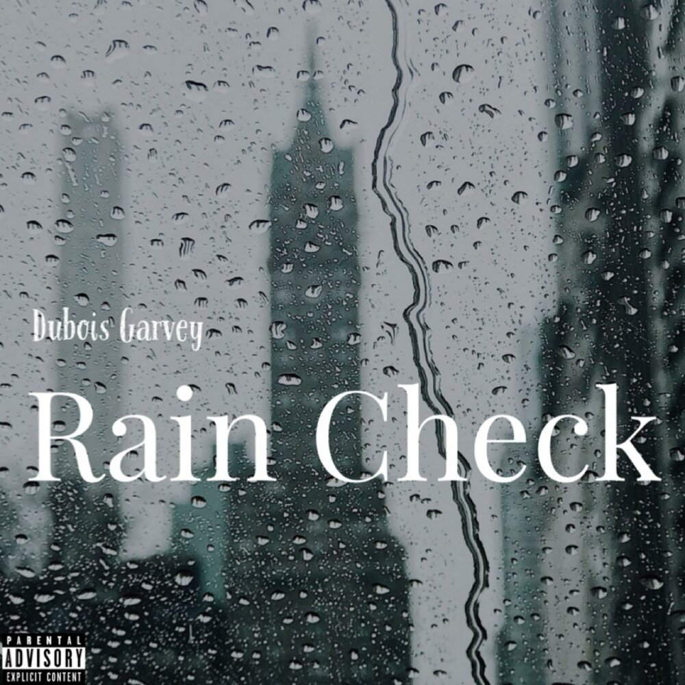 Take a rain check. Rain check. Take a Rain check идиома. Rain check перевод. Lets take a Rain check.