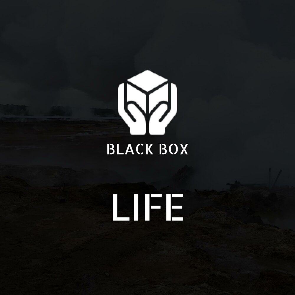 Black box перевод. Black Life.