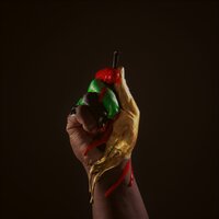 artist-cover