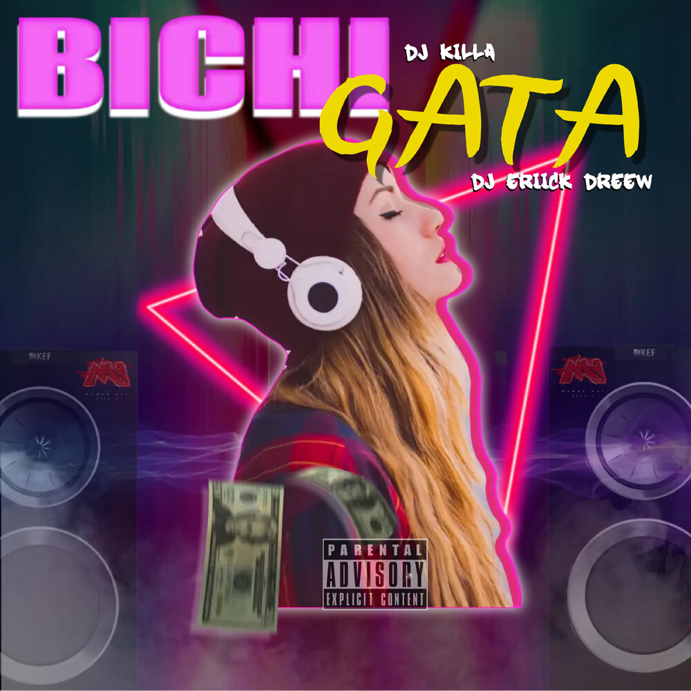 Образ диджея. Диджей за пультом. Американ диджей. Dj gata. Dj gata.