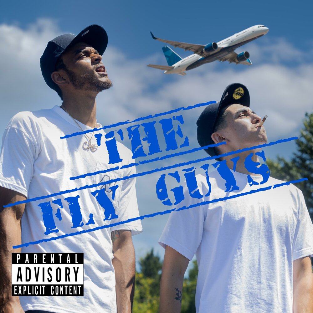 Fly guys. Fly guy. Flying guys.