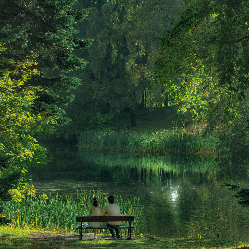 Слушать lake. Картина пруд.