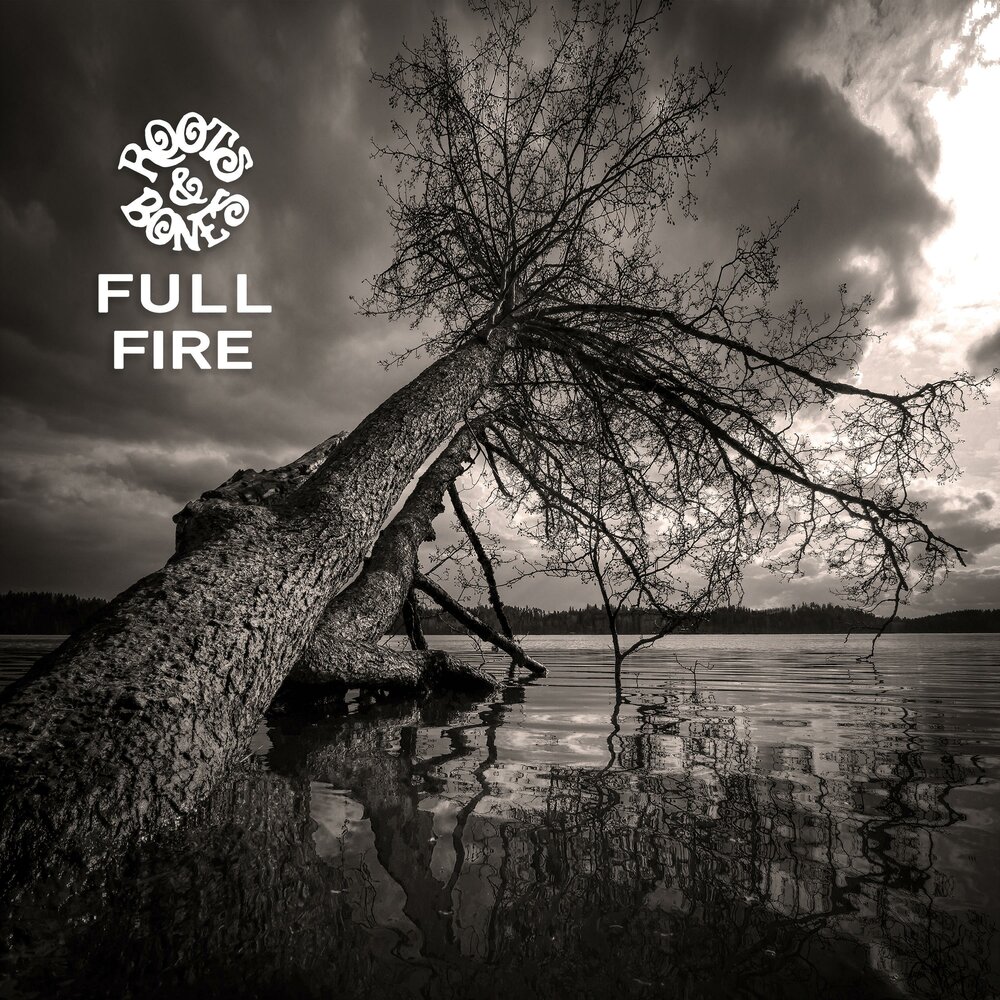 Bonfire - roots.