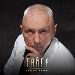 Тайга