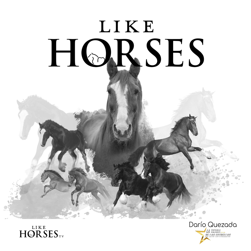 Музыка horses. My friend like Horses или likes.