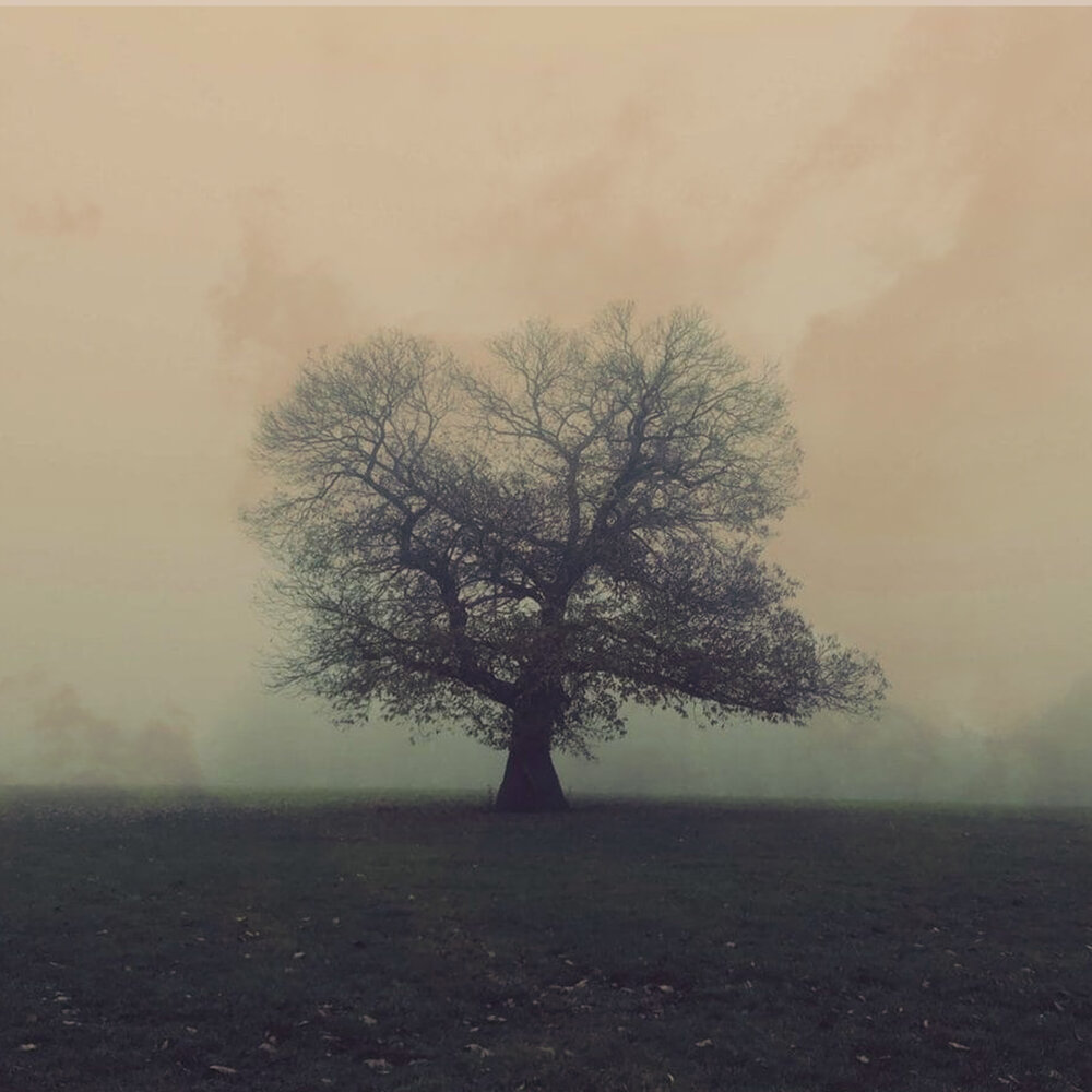 За горизонт уходит солнце наступает ночь тяжко. Плоская земля солнце и луна. Время молодёжи клип. Песню уйти за горизонт. Луна уходит за горизонт.