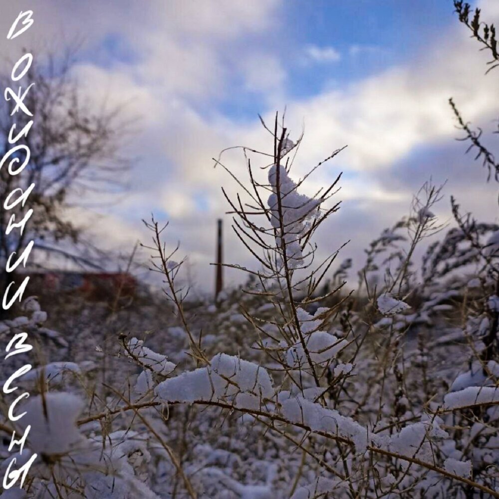 скоро весна коты. в ожидании весны песня. в ожидании весны песня. снег за окном. стихи про ожидание.