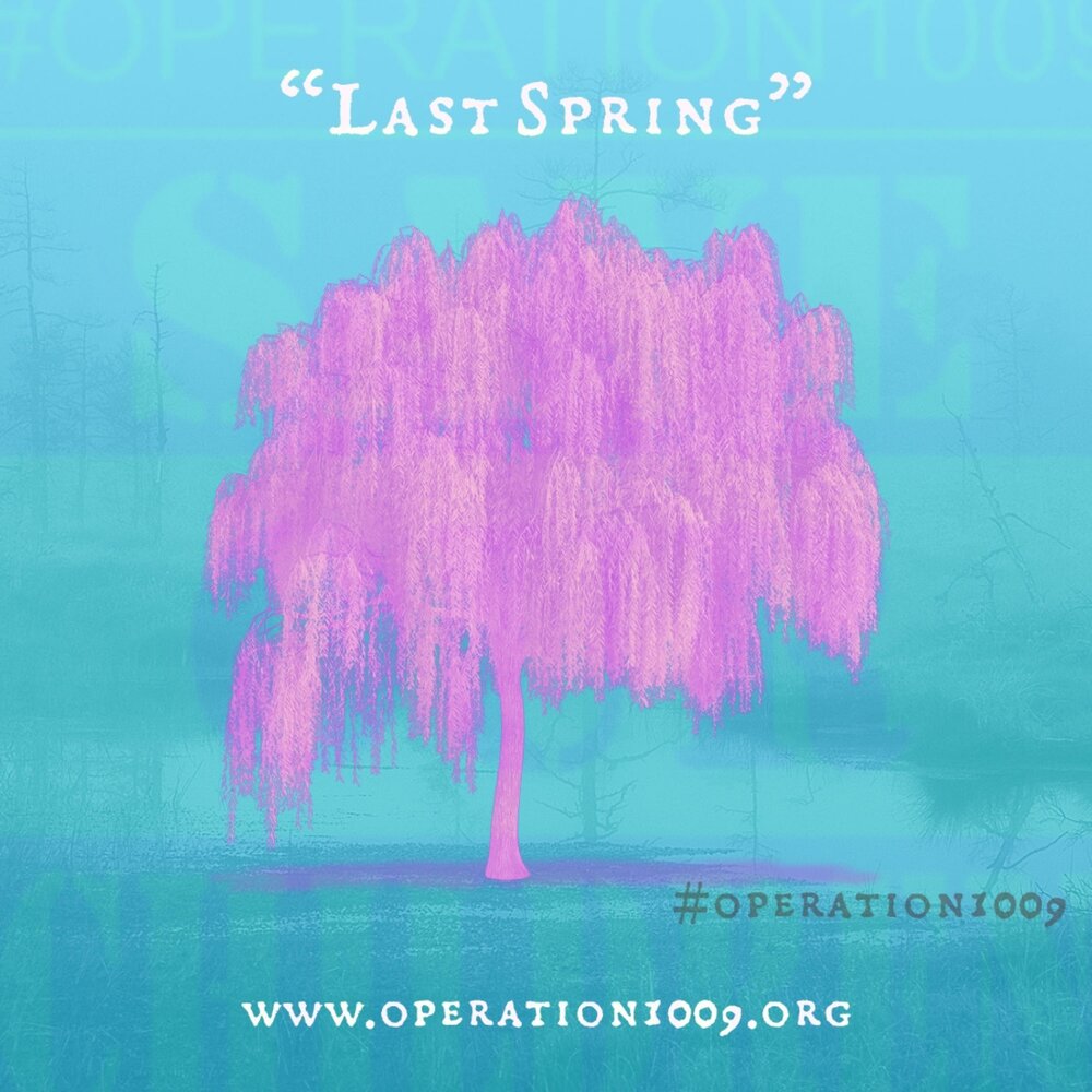 Весенняя ветка. Last spring sunday. Album spring. Last spring. Blooms spring видео.