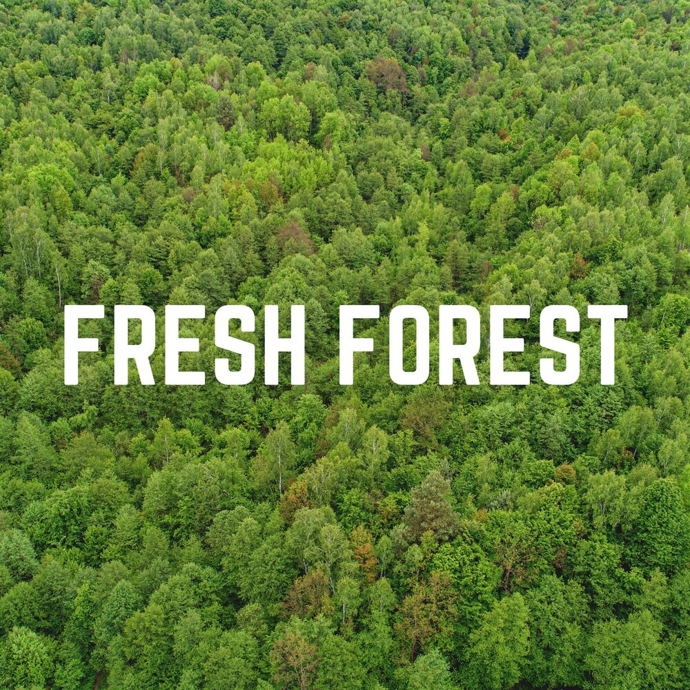 Fresh лесной. Fresh Forest.