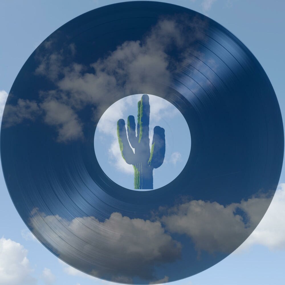 музыкальный кактус игрушка. игрушечные растения. альбом кактус литвинова. Cactus песни. песня про кактус.