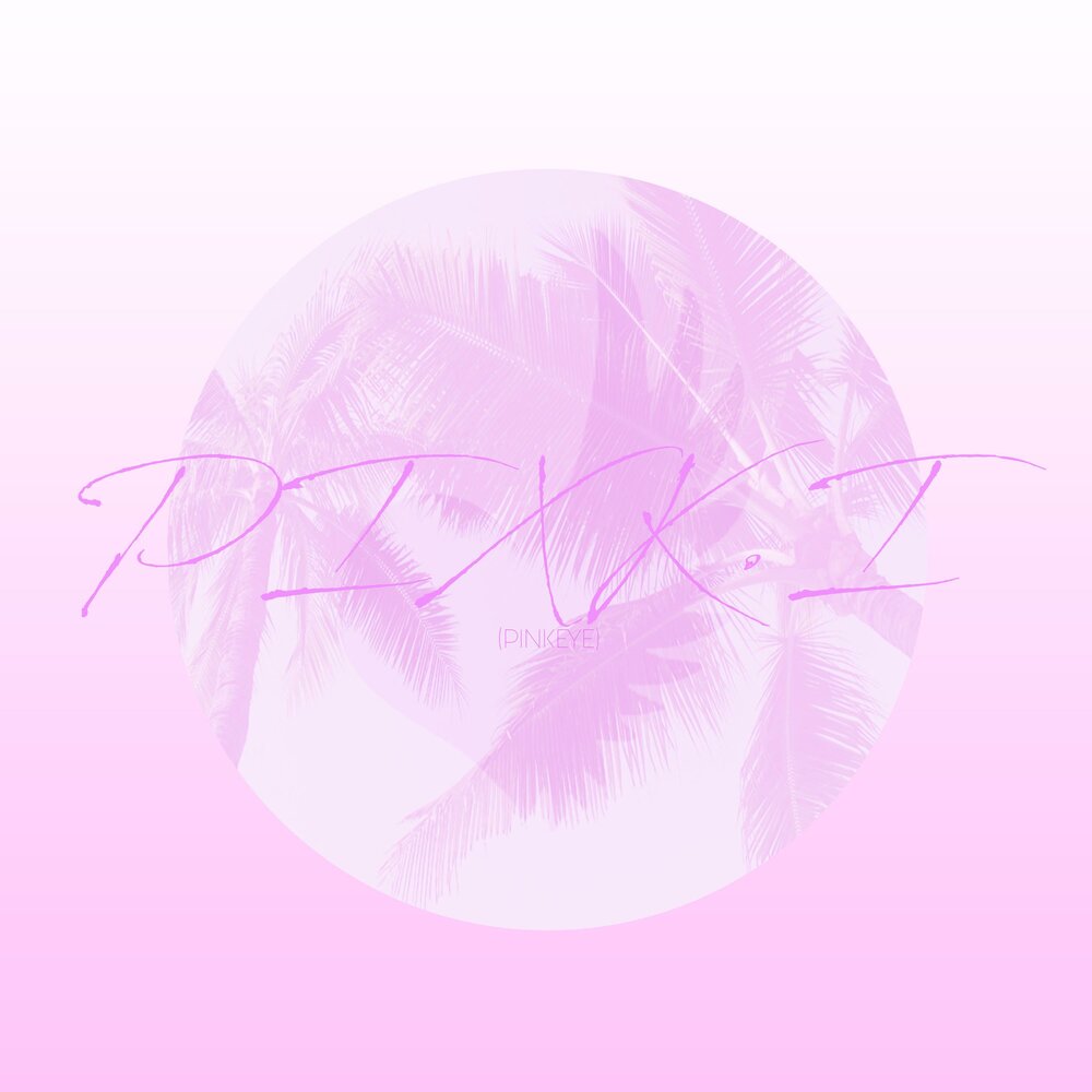 Pink sweet$ ride with me. Pink исполнительница. Блэк пинк. Пинк песня слушать ваша милаша. Холзи 2021.