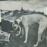 artist-cover