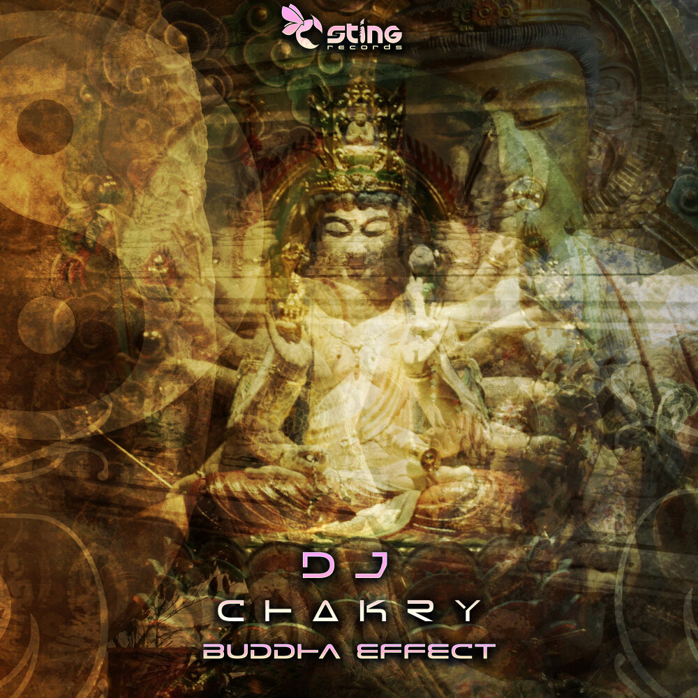 Будда слушает аудиокнига. Space Buddha альбомы. Будда Psy. DJ chakry - Cosmic Pill. Sting Effect.