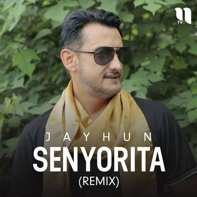Скачать песню Jayhun guruhi - Senyorita (remix)