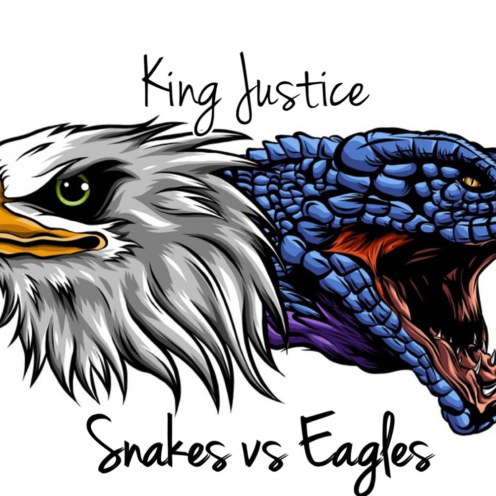 King justice. Eagle vs Snake. Eagle King. Eagle vs Dragon.