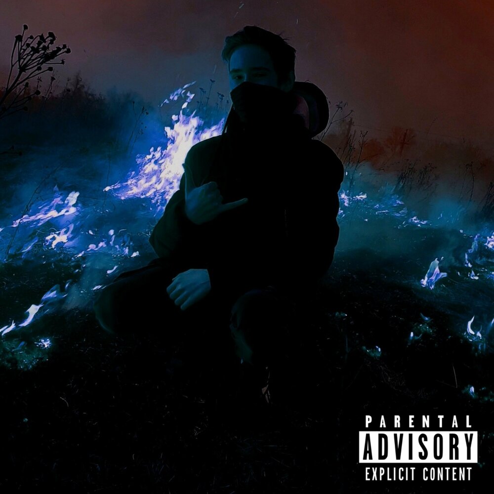 Spiracles. Outside the system. Digital system. Tracheal system in insects. Outside the system.