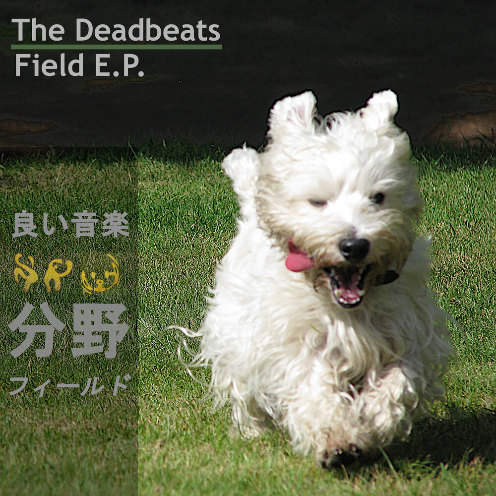 track-cover