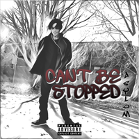 artist-cover